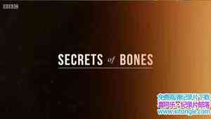 BBC¼Ƭ Secrets of Bones Ӣ˫-