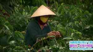 BBC¼ƬɡһѰ The Coffee Trail with Simon ReeveӢ˫-