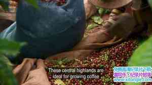 BBC¼ƬɡһѰ The Coffee Trail with Simon ReeveӢ˫-