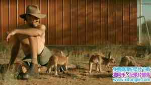 BBC¼ƬȻ:˵ The Natural World: Kangaroo DundeeӢ-