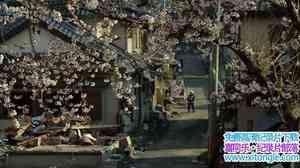 ¼ƬХӣ The Tsunami and the Cherry BlossomӢ-