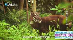 ¼ϰ뵺Ұ Wildest Indochinaȫ5-