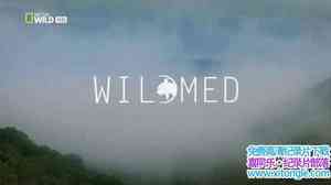 ҵĵкɭ Wild MedӢ-