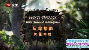 BBC¼ƬӴ Wild Things With Dominic Monaghan8-