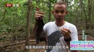 BBC¼ƬӴ Wild Things With Dominic Monaghan8-