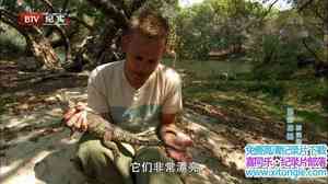 BBC¼ƬӴ Wild Things With Dominic Monaghan8-