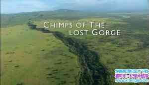 BBC¼ƬʧϿȵĺ Chimps of the Lost GorgeӢ˫-