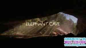 BBC¼ƬѨ Elephant CaveӢ-