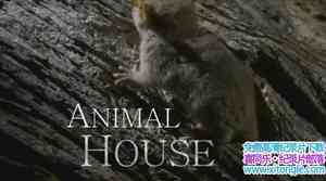 BBC¼ƬȻ ֮ Natural World Animal HouseӢ˫-