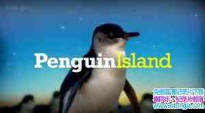 BBC¼Ƭ쵺 Penguin Islandȫ6-