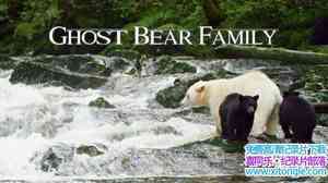 BBC¼Ƭһ Spirit Bear FamilyӢ-