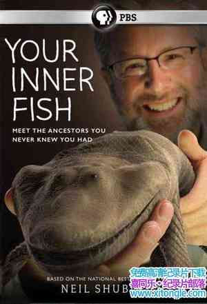 PBS¼Ƭڵ/ Your Inner Fishȫ3-