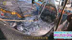 ҵ̨:֮- Taiwan:Island of Fish-Big Catchȫ2-