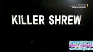 ҵҰɱ- Wild-Killer ShrewӢ-