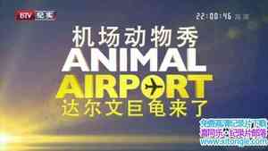 Ӽ¼Ƭ Animal Airportȫ6-