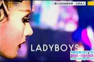 ҵԵ LadyBoys 2012ȫ4-