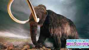 PBS¼Ƭ Last Extinction 2009Ӣ-