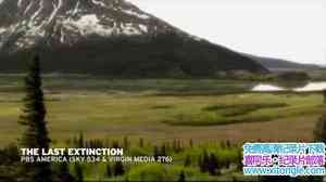 PBS¼Ƭ Last Extinction 2009Ӣ-