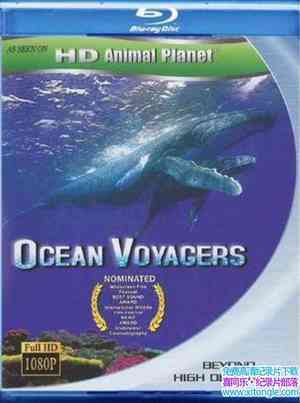 ҵϵУ֮ Ocean Voyagers 2007Ӣ-