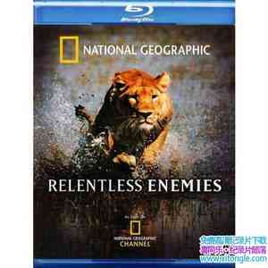 ҵ޵ Relentless Enemies 2006Ӣ-