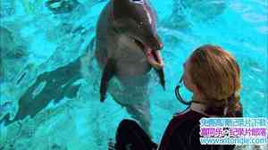 BBC¼Ƭĺ Dolphins-Deep Thinkers 2005Ӣ-