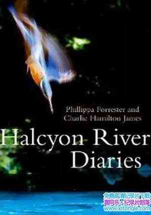 BBC¼Ƭռ Halcyon River Diaries 2010ȫ4-