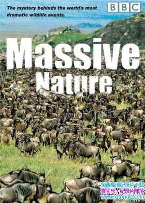 BBC¼ƬȺȻ Massive Nature 2004ȫ6-