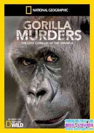 ҵıɱ Gorilla Murders 2009Ӣ-