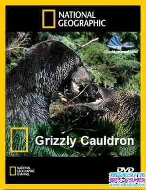 ҵǵս Grizzly Cauldron 2009Ӣ-