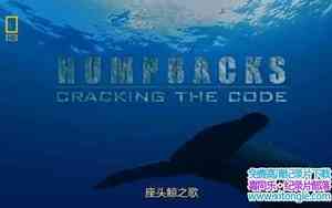 ҵͷ֮ Humpbacks Cracking The Code 2009Ӣ-