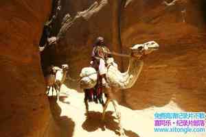 IMAX¼Ƭ Arabia 2010Ӣ-