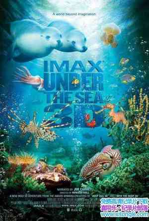 IMAX¼Ƭ Under The Sea 2009Ӣ-