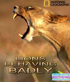 ҵعصʨ Lions Behaving Badly 2008Ӣ-