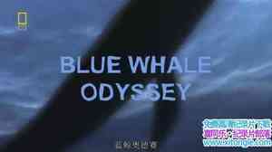 ҵСռ Blue Whale Odyssey 2010Ӣ-