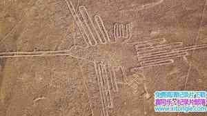 ҵ˹ߴ Nasca Lines Decoded 2010Ӣ-