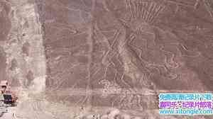 ҵ˹ߴ Nasca Lines Decoded 2010Ӣ-