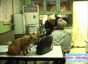 ¼Ƭү Old Jing with His Regular Customers 2002-