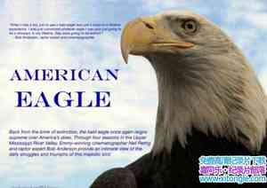 PBS¼Ƭӥ American Eagle 2008Ӣ-