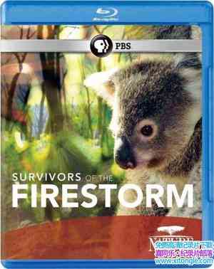 PBS¼ƬҴ Survivors of the Firestorm 2011Ӣ-