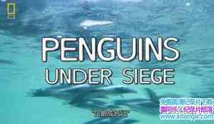 ҵɳ Penguin Death Zone 2005Ӣ-