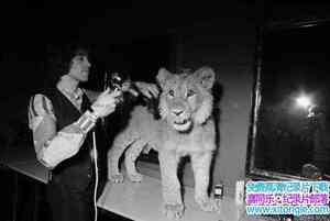 Ӣ¼Ƭʨӿ˹ٰ The Lion at Worlds End 1971Ӣ˫-