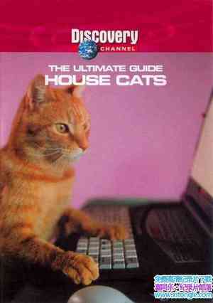 ̽Ƶռָ è The Ultimate Guide House CatsӢ-