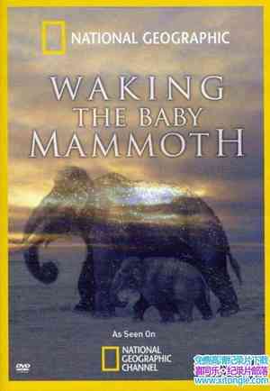 ҵѳ˯Ӥ/޳ë Waking The Baby Mammoth 2010Ӣ-