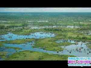 ҵĮ/ˮĵɳĮ Wild Kalahari The Flooded Desert 2009Ӣ-