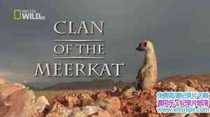 ҵB Clan Of The Meerkat 2007Ӣ-