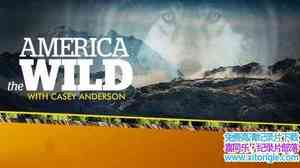 ҵҰԶѪ America The Wild: American Vampire 2014Ӣ-