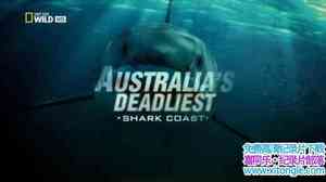 ҵİ㺣 Australias Deadliest Shark Coast 2013Ӣ-