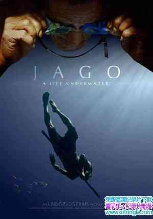 BBC¼Ƭˮ A Life Underwater 2015ӡǶӢ-