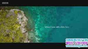 BBC¼Ƭˮ A Life Underwater 2015ӡǶӢ-