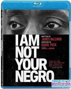 ¼ƬҲĺڹ I Am Not Your Negro 2016-